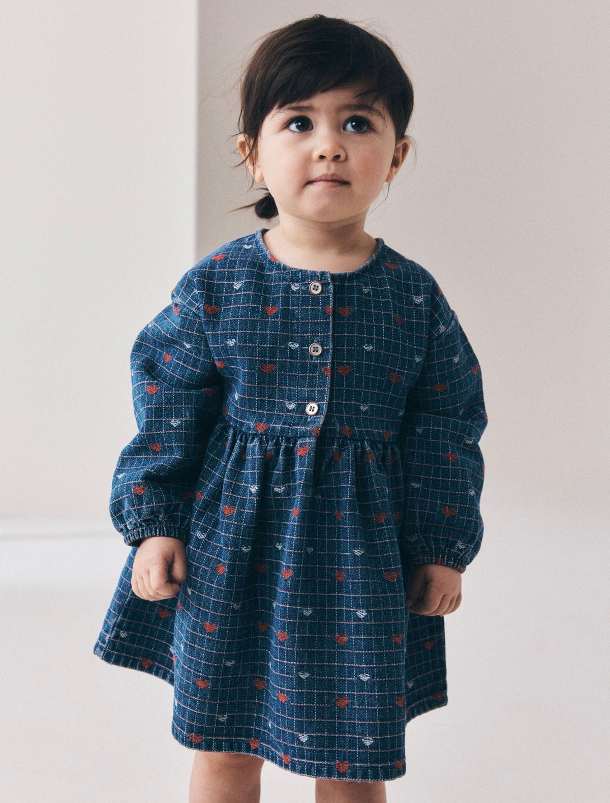 Next Denim Dress