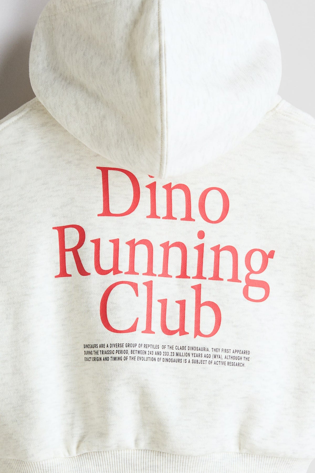 H&M Hoodie