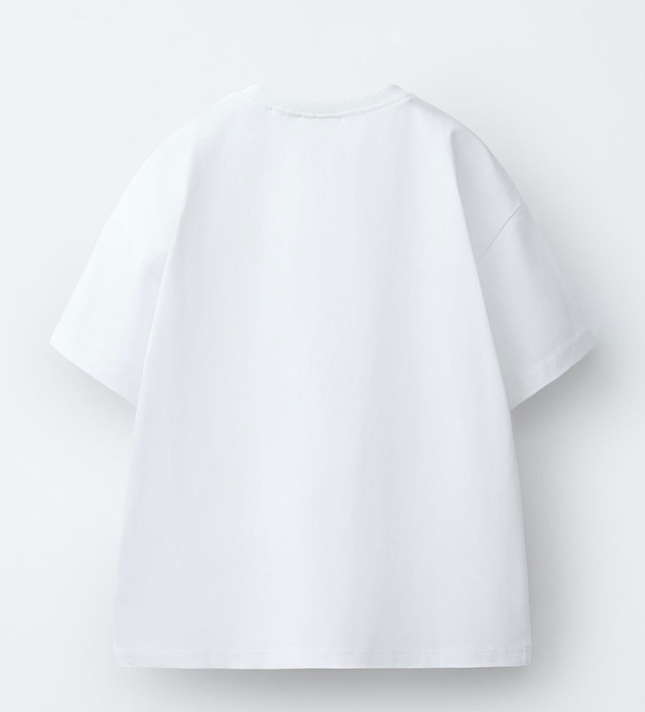 Zara Printed Shirt