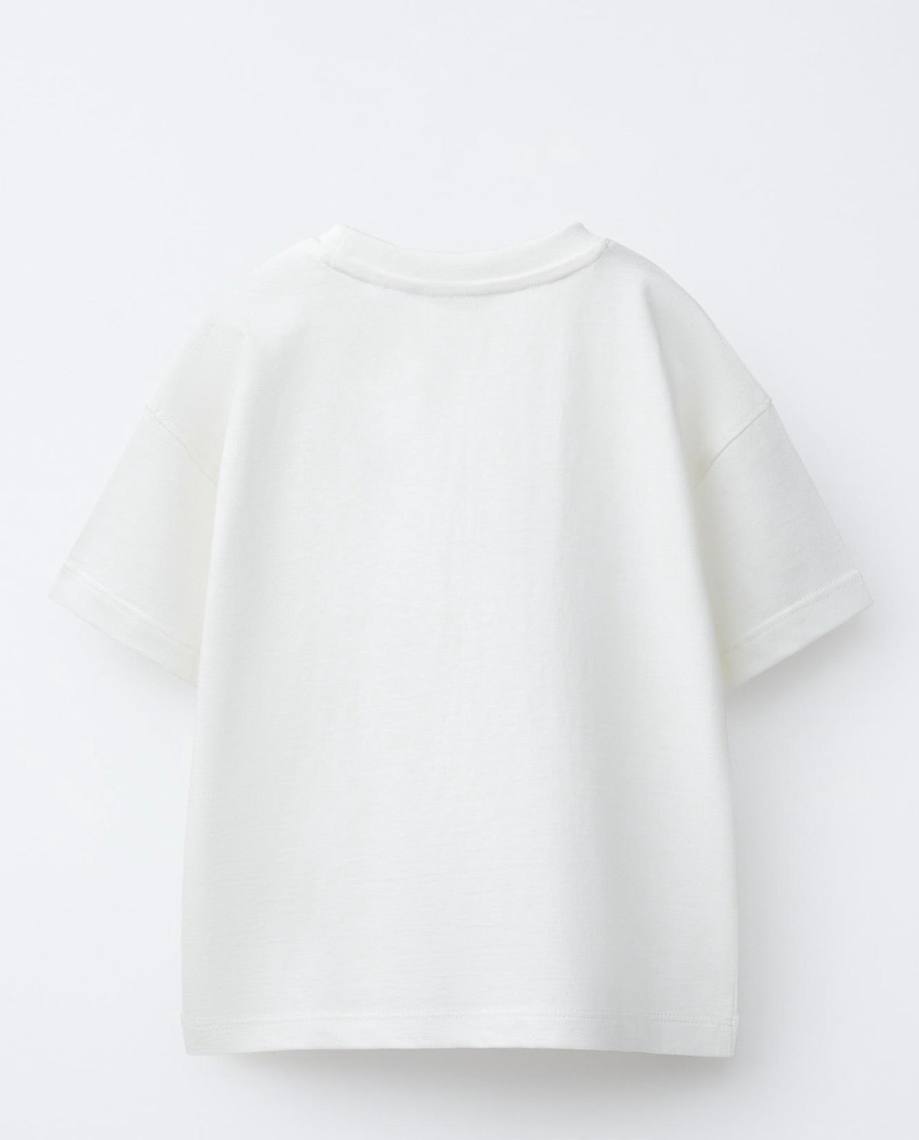 Zara Printed Shirt